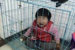 网友爆料摆拍视频,摆拍视频背后的真相